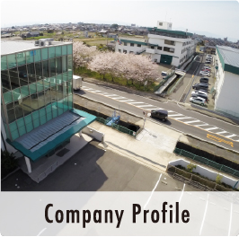 company profile